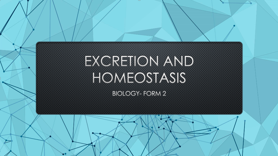EXCRETION AND HOMEOSTASIS